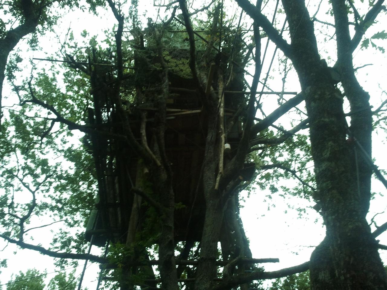 Voici la cabane dans les arbres