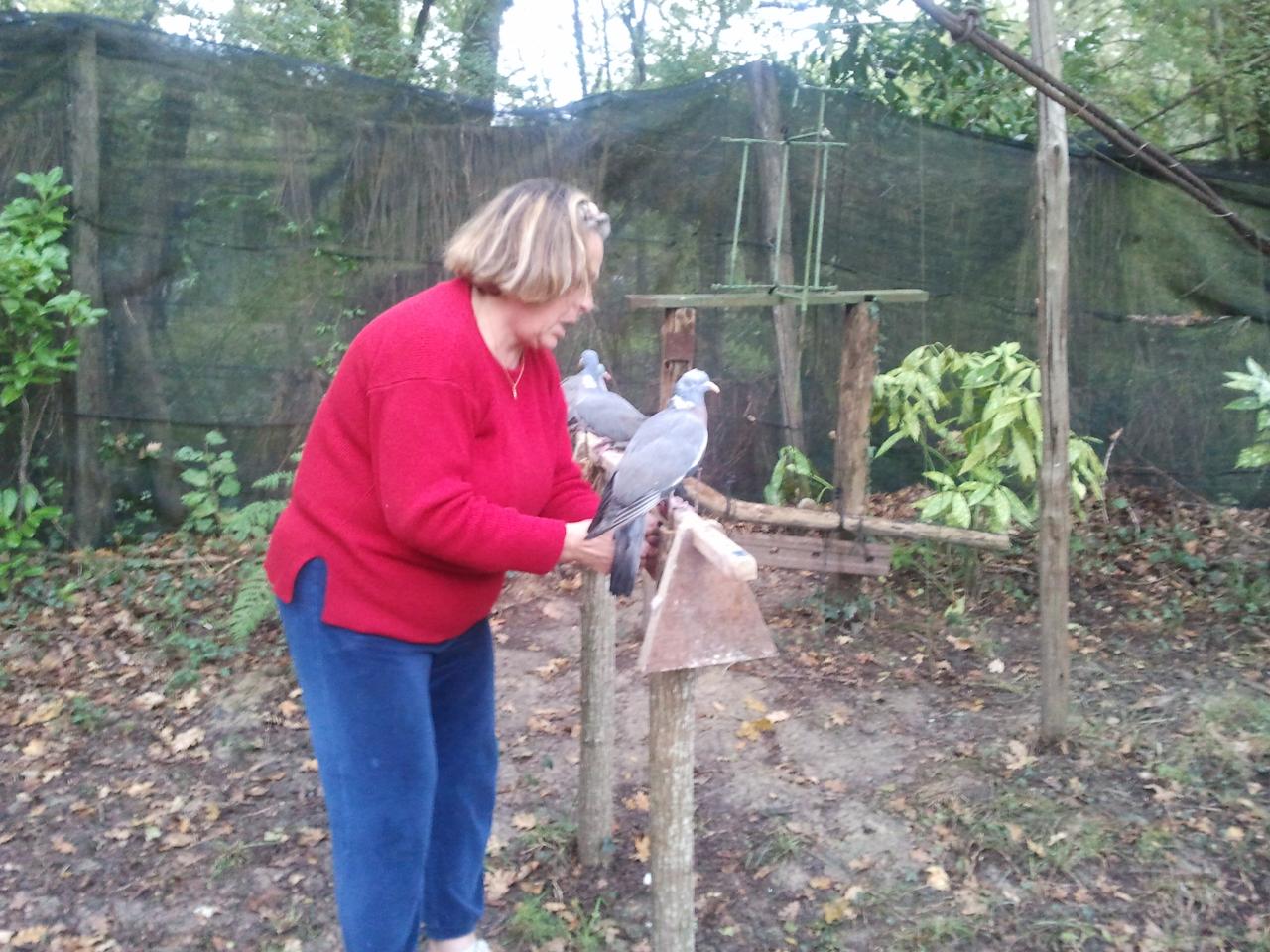 Il pleut, Bernadette, met la main a la patte