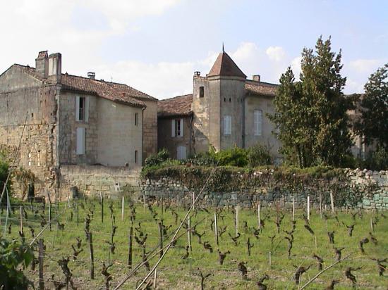 Propriété Viticole