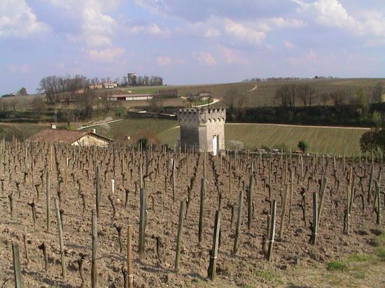 La Vigne