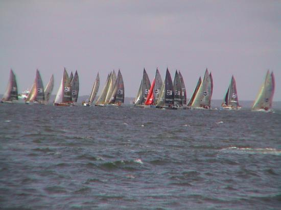 Régate sur le Bassin d'Arcachon
