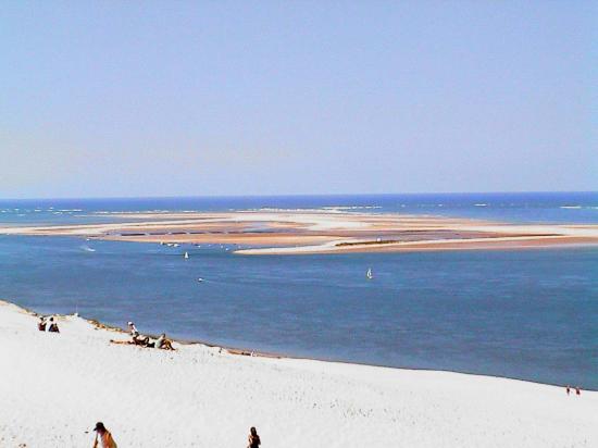 Le Banc d'Arguin